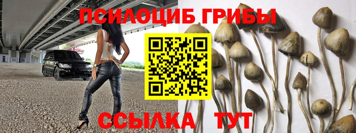 Псков  купить наркотики сайты  Вход с VPN  Галлюциногенные грибы GOLDEN TEACHER 