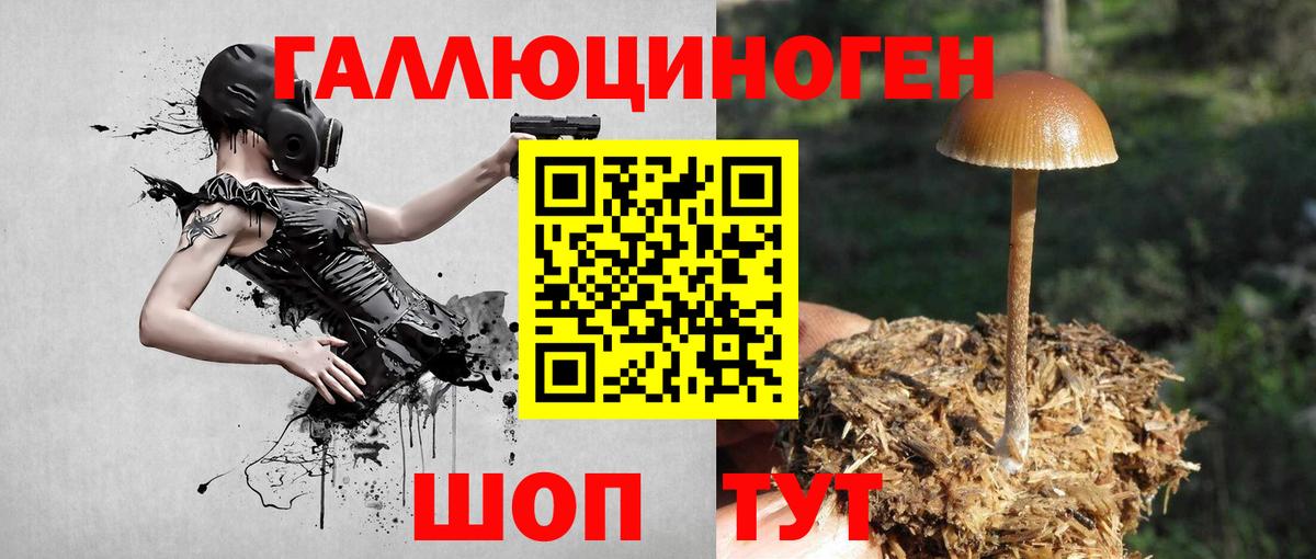 Псилоцибиновые грибы мухоморы Псков